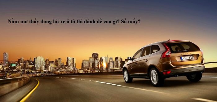 mo-thay-lai-xe-oto-danh-con-gi-1 Vì sao mơ thấy lái xe ô tô trong chiêm bao?