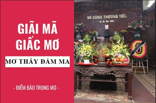 nam-mo-thay-dang-di-dua-ma-1